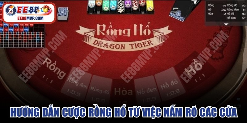 Hướng dẫn cược Rồng Hổ từ việc nắm rõ và lựa chọn các cửa