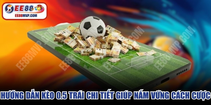 Hướng dẫn kèo 0.5 trái chi tiết giúp bạn nắm vững cách cược