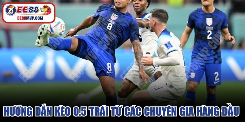 Hướng dẫn kèo 0.5 trái từ các chuyên gia hàng đầu chi tiết