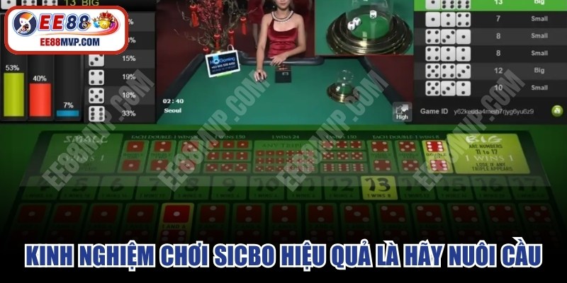 Kinh nghiệm chơi sicbo hiệu quả là hãy nuôi cầu