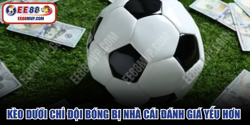 Kèo dưới chỉ đội bóng bị nhà cái đánh giá yếu hơn trong trận 